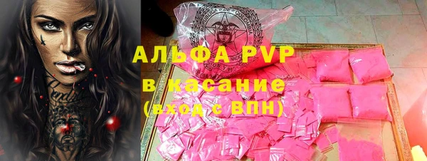 индика Богданович